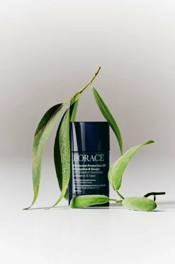 Déodorant Protection 12H Eucalyptus & Sauge