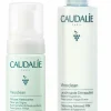 Duo Mixologie Mousse de lait Vinoclean