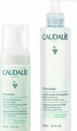 Duo Mixologie Mousse de lait Vinoclean