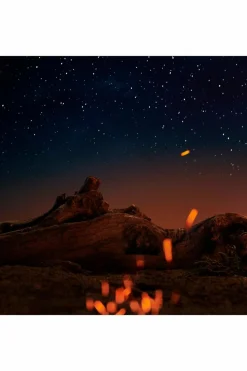 Eau De Toilette Boisé ambré Replica Under The Stars