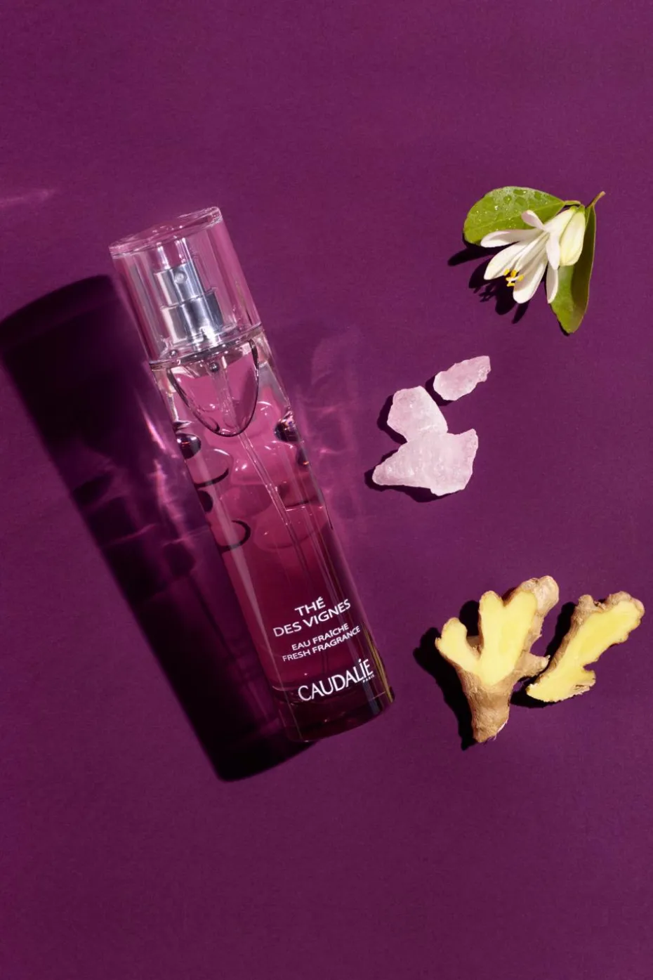 Eau Fraîche Thé des Vignes