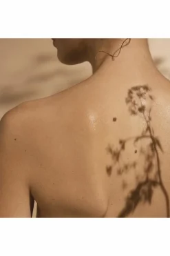Gelée en eau