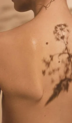 Gelée en eau