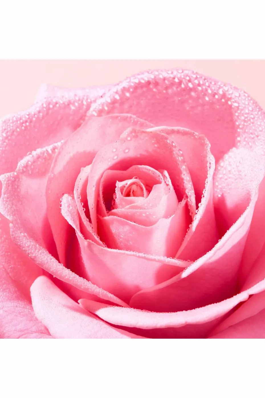 Gelée nettoyante apaisante Very Rose