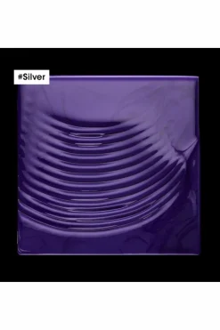 Shampoing pour cheveux gris et blancs Silver
