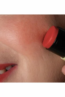 Stick baume lèvres & blush Fantastick