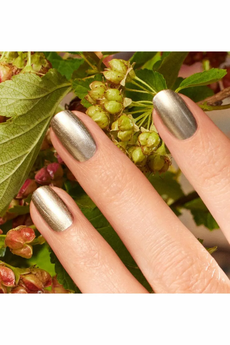 Vernis Green